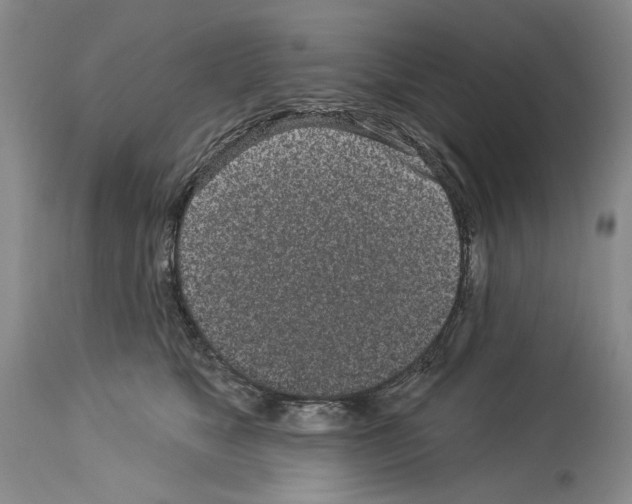 X0000114070517200911161155