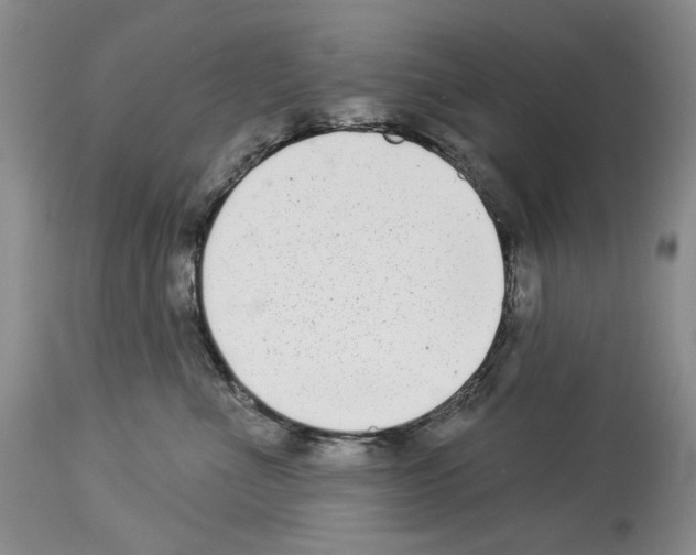 X0000114070523200911161155