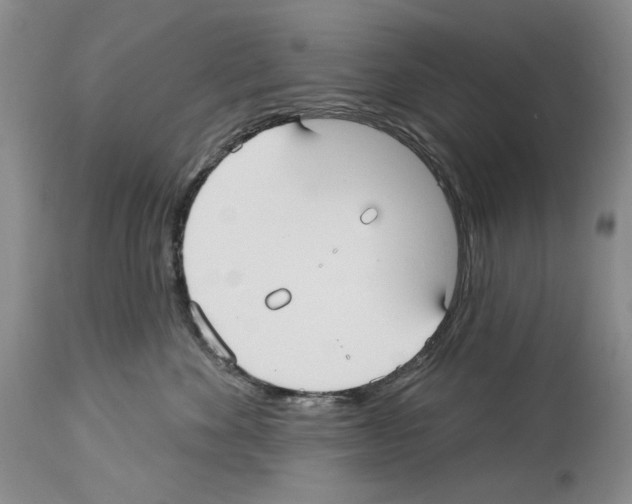 X0000114070524200911161155