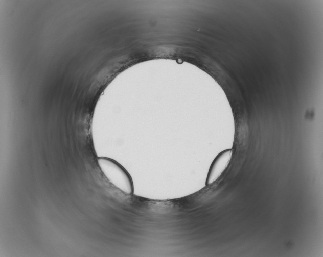 X0000114070525200911161155