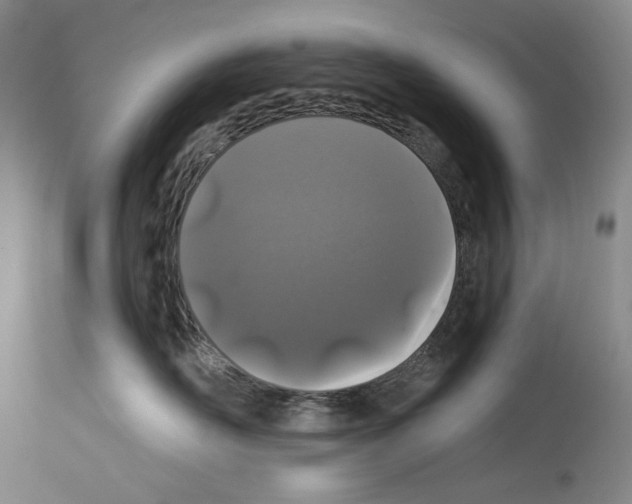 X0000114070526200911161155