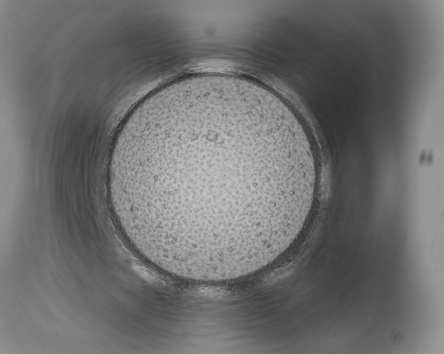 X0000114070529200911161154