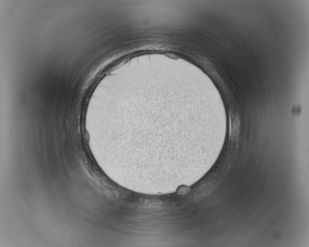 X0000114070531200911161154