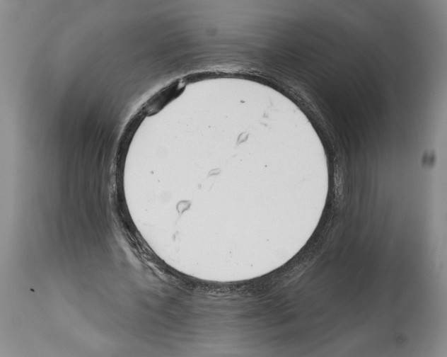 X0000114070532200911161154