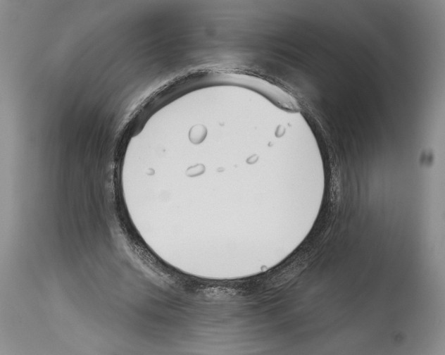 X0000114070535200911161154