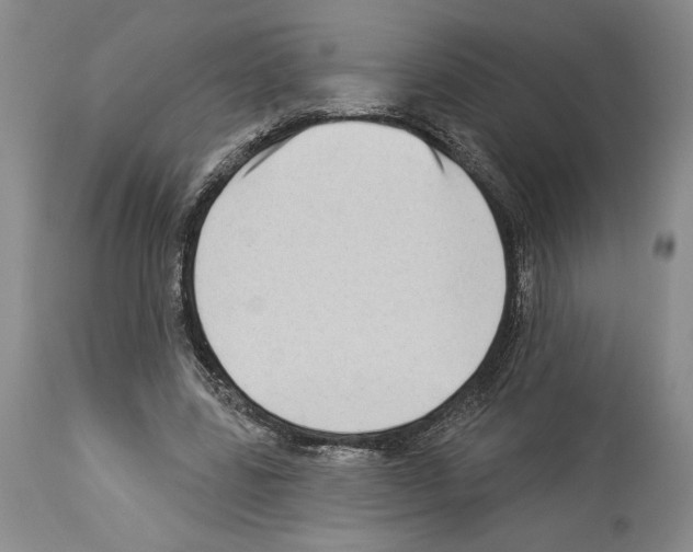 X0000114070539200911161155