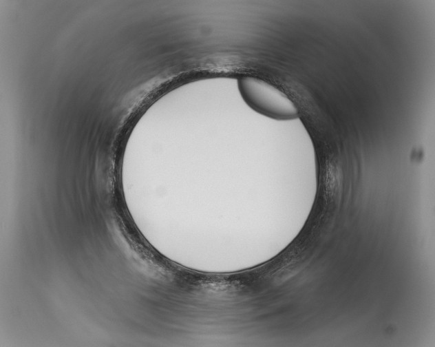 X0000114070540200911161155