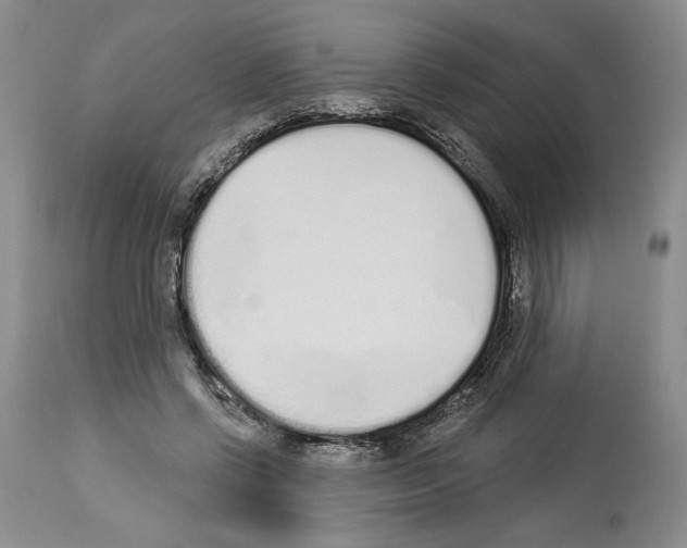 X0000114070542200911161155