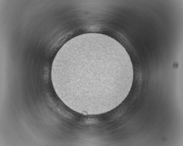 X0000114070549200911161155