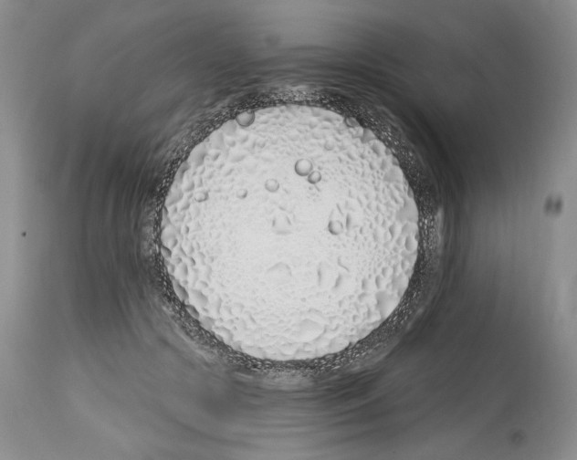 X0000114070553200911161155