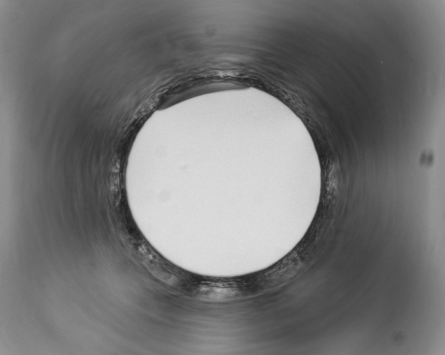 X0000114070559200911161155