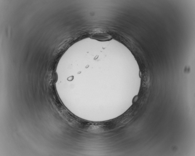 X0000114070560200911161155