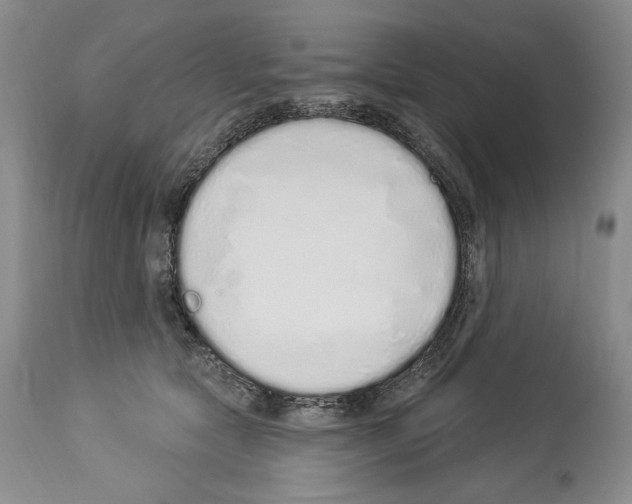 X0000114070561200911161155