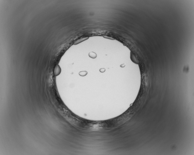 X0000114070564200911161155