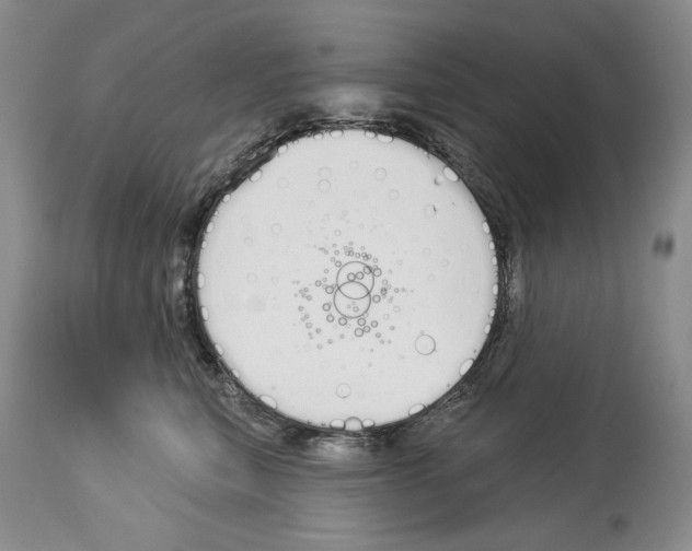 X0000114070567200911161155