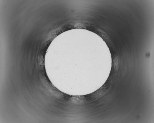 X0000114070571200911161155