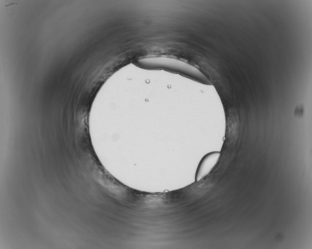 X0000114070574200911161155