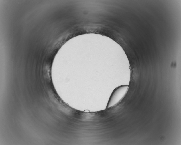 X0000114070575200911161155