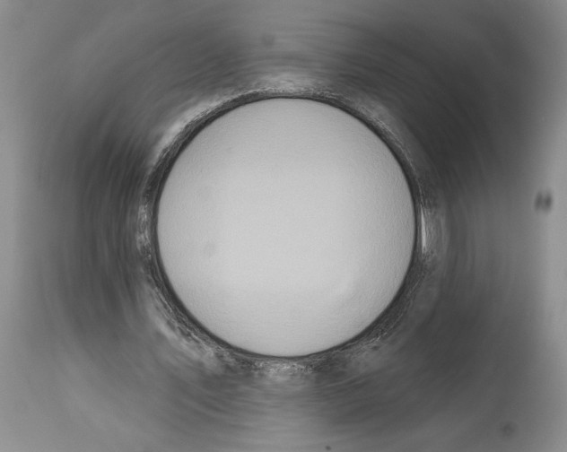 X0000114070579200911161154