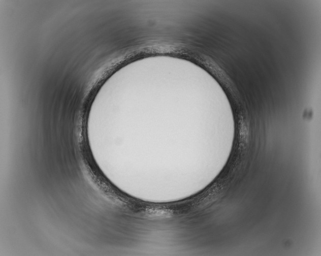 X0000114070582200911161154