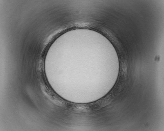 X0000114070583200911161154