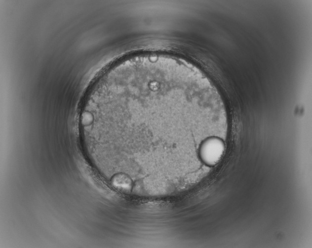 X0000114070584200911161154