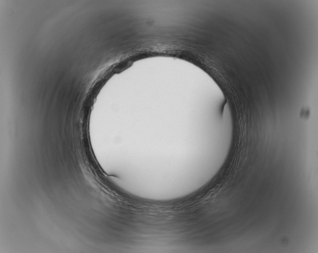 X0000114070587200911161154