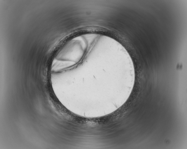 X0000114070592200911161154