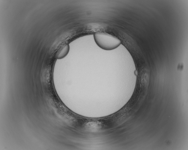 X0000114070595200911161154