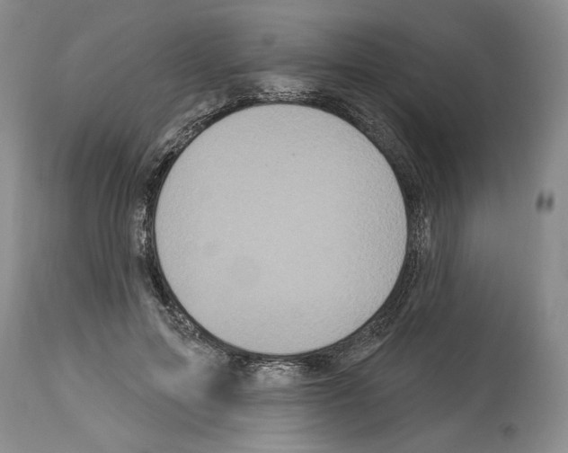 X0000114070599200911161154