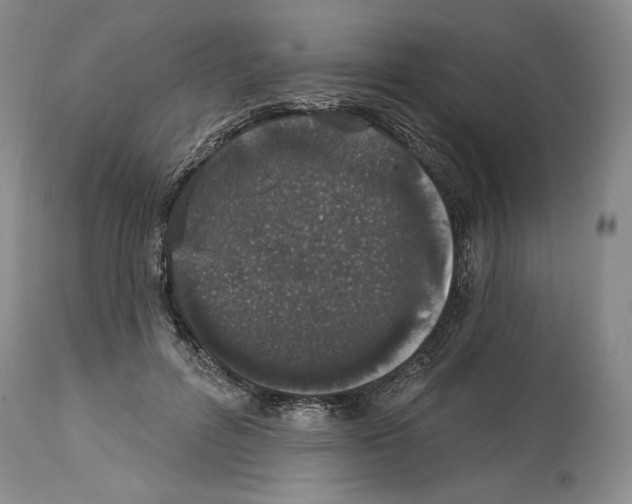 X0000114070600200911161154