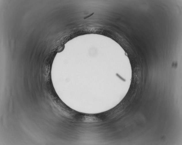 X0000114070605200911161154