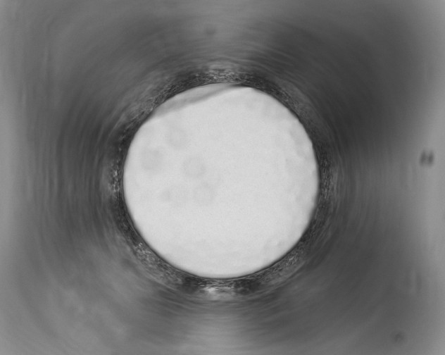 X0000114070606200911161154