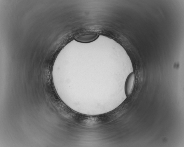 X0000114070609200911161154