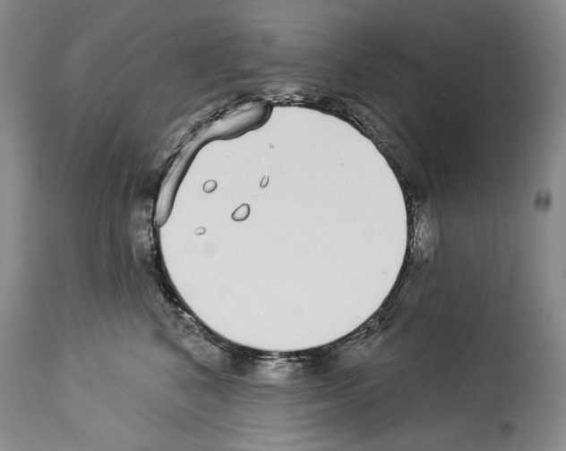 X0000114070616200911161154