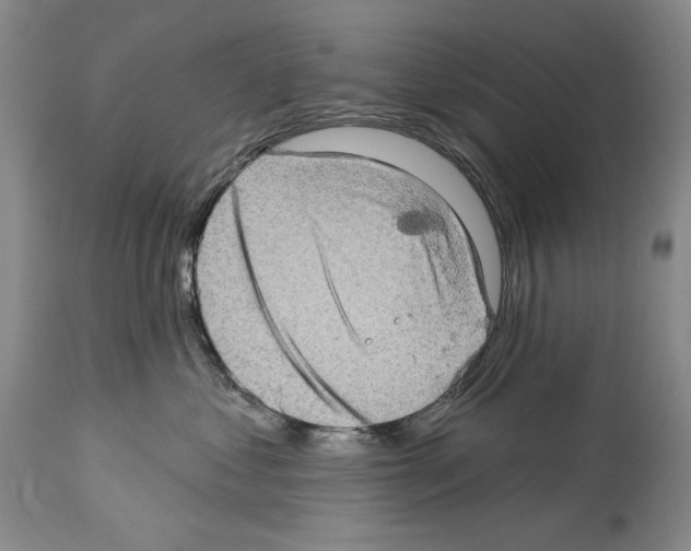 X0000114070621200911161154