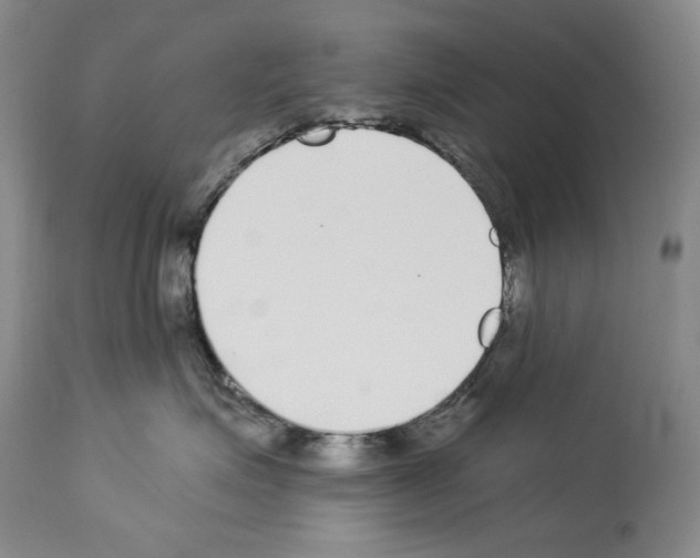 X0000114070623200911161154