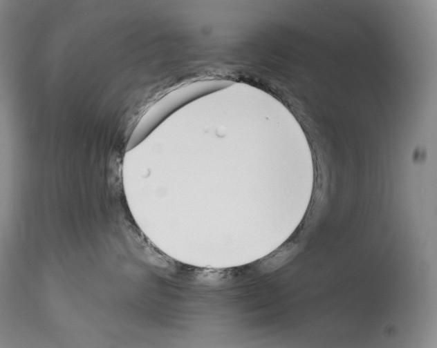 X0000114070624200911161154