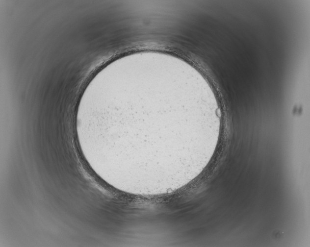 X0000114070625200911161153