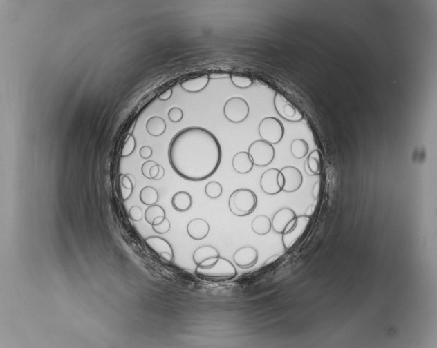 X0000114070626200911161153