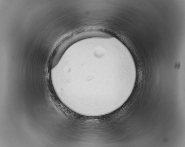 X0000114070628200911161153