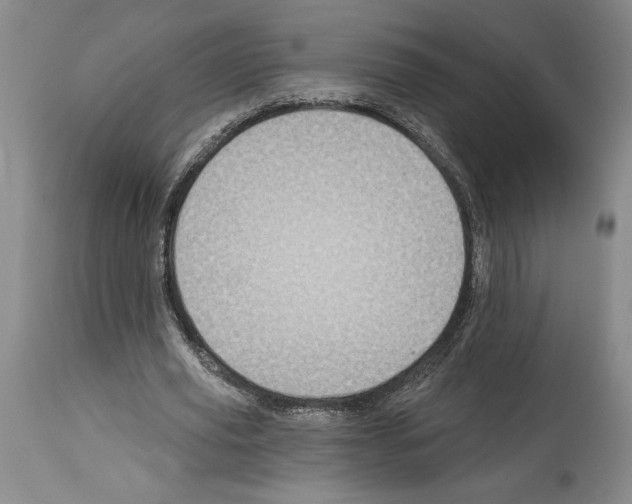 X0000114070629200911161153