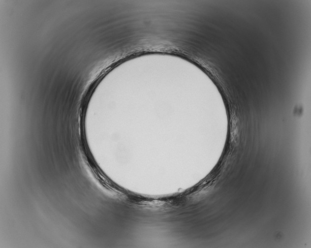 X0000114070630200911161153