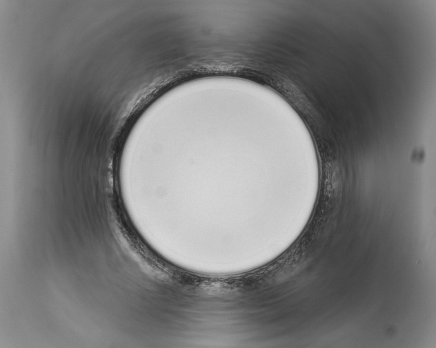 X0000114070634200911161153