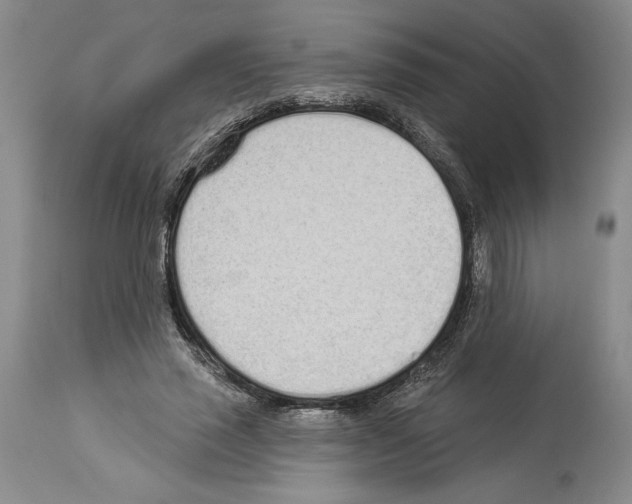 X0000114070637200911161153