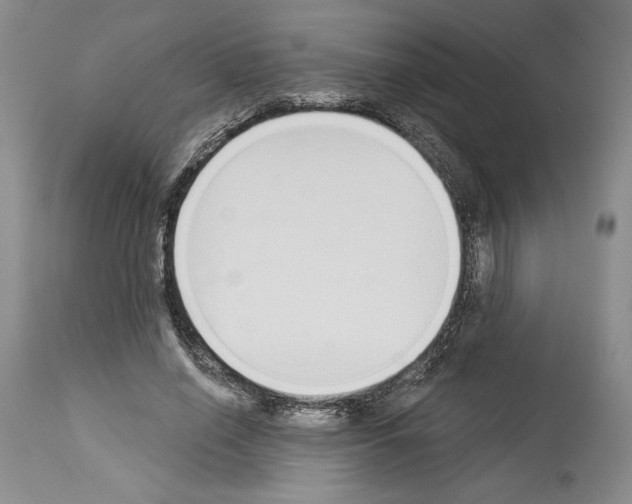 X0000114070638200911161153