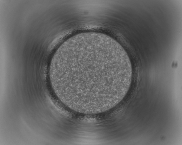 X0000114070640200911161153