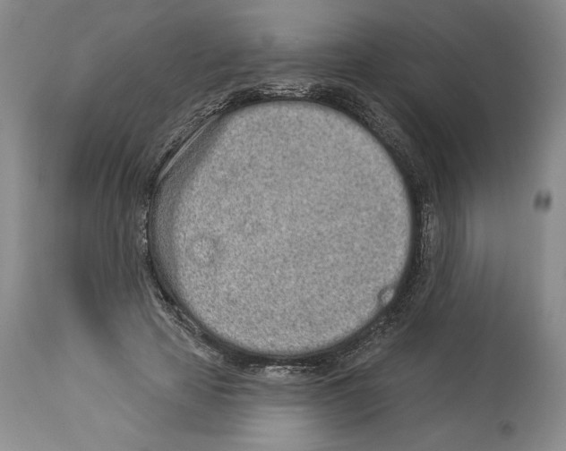 X0000114070641200911161153