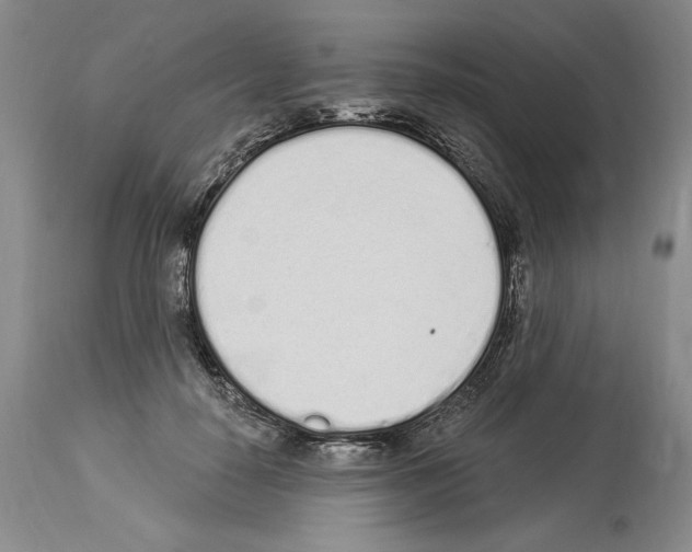 X0000114070650200911161153