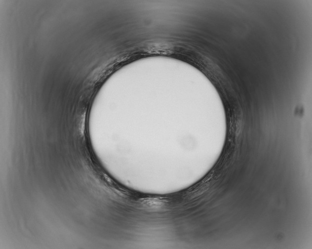 X0000114070652200911161153